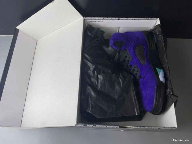 136027-500 Retro Jordan Air Alternate 5 Grape 0804